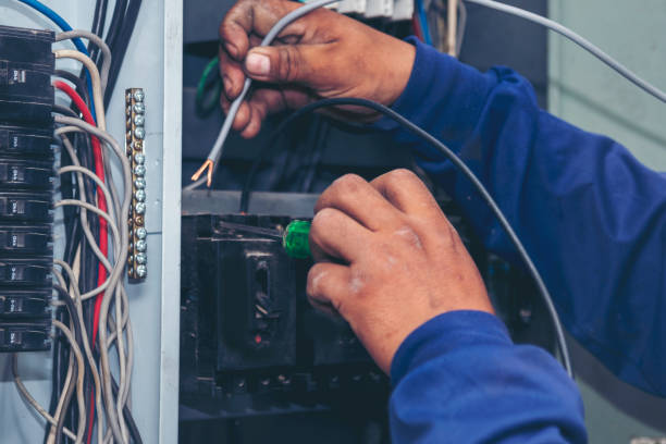Best Electrician for Home Renovation  in Baldwin, MI