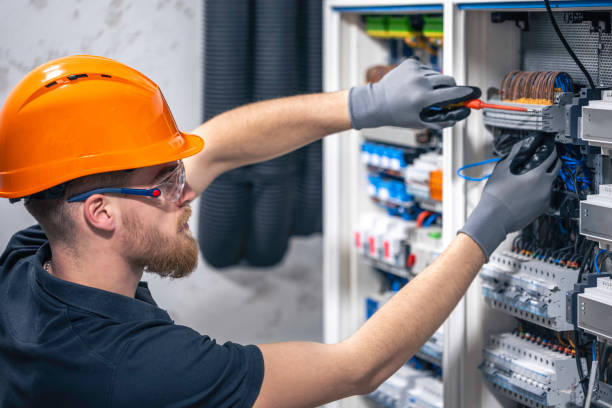 Best Electrical System Inspection  in Baldwin, MI